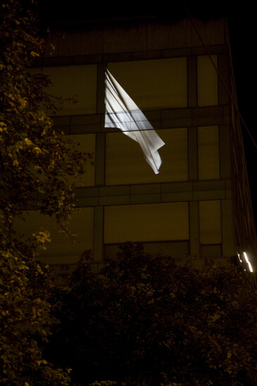 View of the Potential Flag installation in exhibition context