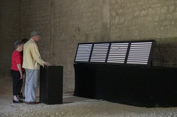 Screenshot of the artwork What’s More with Many
View of the What’s More with Many installation in exhibition context