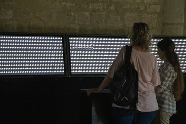 Screenshot of the artwork What’s More with Many
View of the What’s More with Many installation in exhibition context