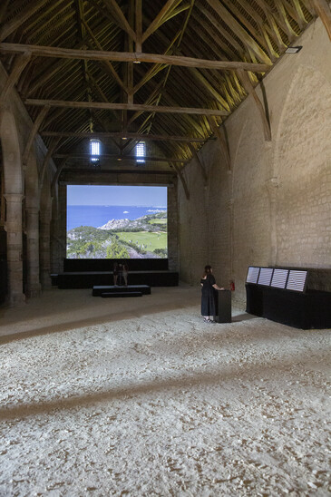 Screenshot of the artwork What’s More with Many
View of the What’s More with Many installation in exhibition context